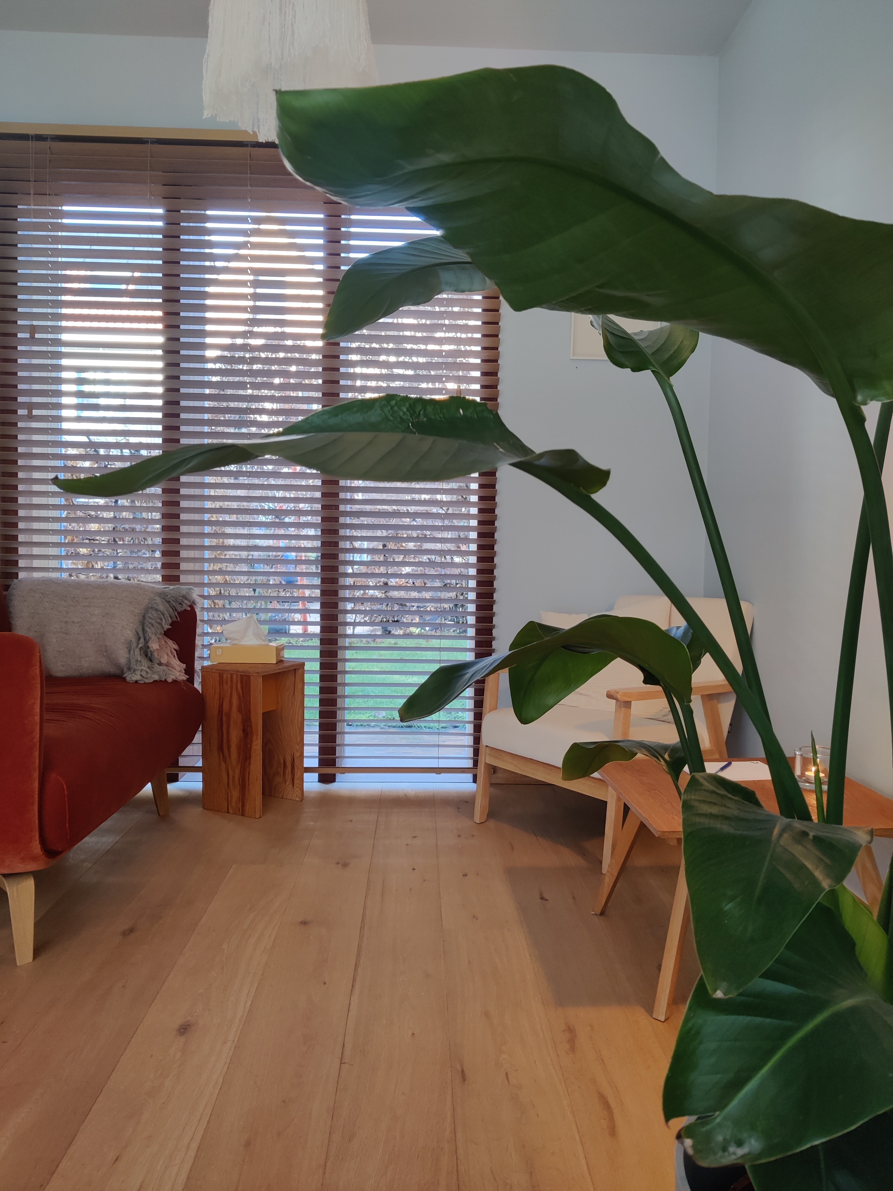 Serene therapieruimte